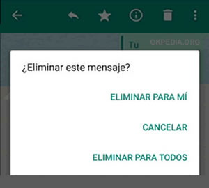 C Mo Eliminar Un Mensaje Enviado A Whatsapp Okpedia