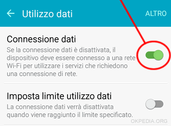 per attivare la connessione spostare a sinistra lo switch, a destra per disattivare la connessione dati