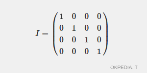 un ejemplo de una matriz identidad