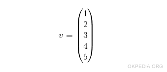 an example of a vector